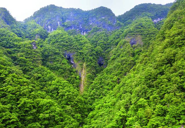 비가 내린 뒤 강원도 평창군 미탄면 기화리 '코끼리바위'의 코를 따라 작은 물줄기가 흘러내리고 있다.