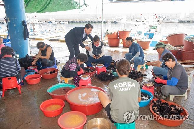 초도항 어민 격려하는 함명준 군수 (강원 고성=연합뉴스) 함명준 고성군수가 19일 현내면 초도항을 방문해 축제를 준비 중인 어민들을 격려하고 있다. 초도항에서는 오는 21일부터 성게축제가 열린다.
    2023.7.19
    [고성군 제공.재판매 및 DB 금지] momo@yna.co.kr