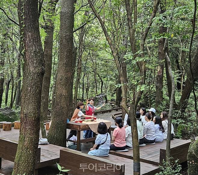 서귀포 치유의 숲/사진-제주관광공사