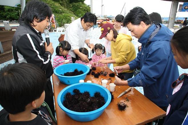 강원 고성군이 오는 21일부터 현내면 초도항에서 제7회 성게 축제를 개최한다. 사진은 2009년 열린 축제 때 모습. 고성군 제공