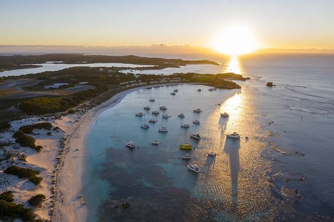 로트네스트 아일랜드.  /사진= 호주관광청