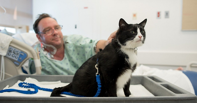 샌프란시스코 병원에서 근무 중인 듀크의 모습 / 사진 = The Dodo 트위터