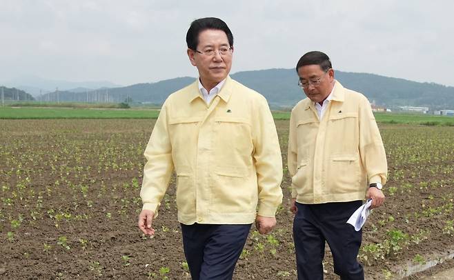 ​김영록 전남지사가 19일 굳은 표정으로 호우로 피해를 입은 영광군 군남면 양덕리 농작물(논콩) 침수현장을 둘러보고 있다. ⓒ전남도