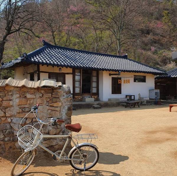 온라인 커뮤니티ㅐ