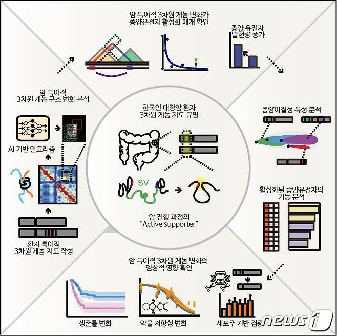 연구 모식도(KAIST 제공)/뉴스1