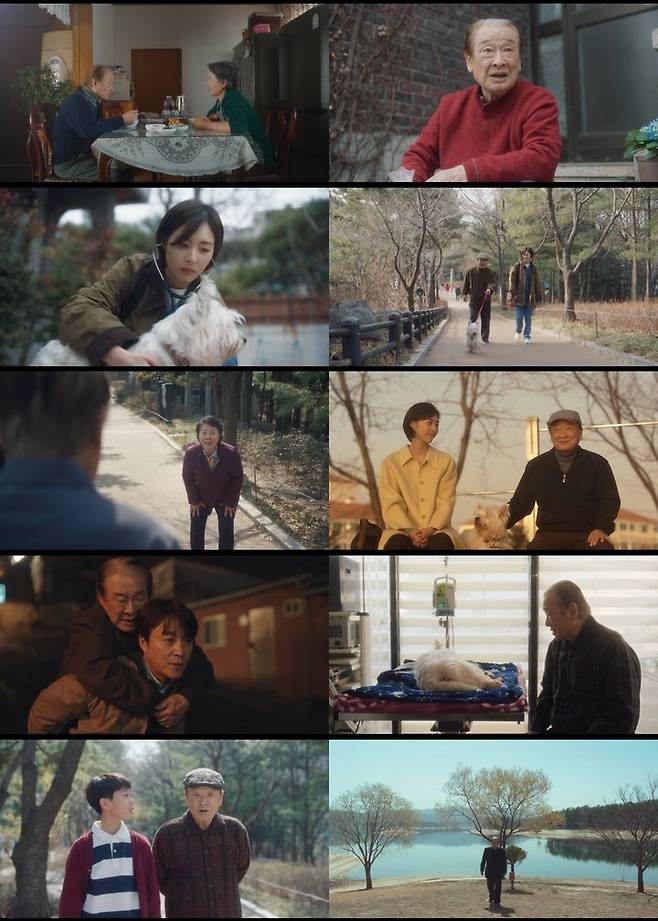 [서울=뉴시스] tvN X TVING 드라마 공동 프로젝트 ‘O'PENing(오프닝) 2023’의 두 번째 작품 ‘산책’ (사진=tvN X TVING 프로젝트 ‘O'PENing(오프닝) 2023’ 제공) 2023.07.24. photo@newsis.com *재판매 및 DB 금지