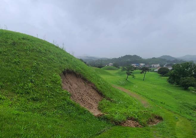 사적 '함안 말이산 고분군' 피해 상황  [문화재청 제공. 재판매 및 DB 금지]