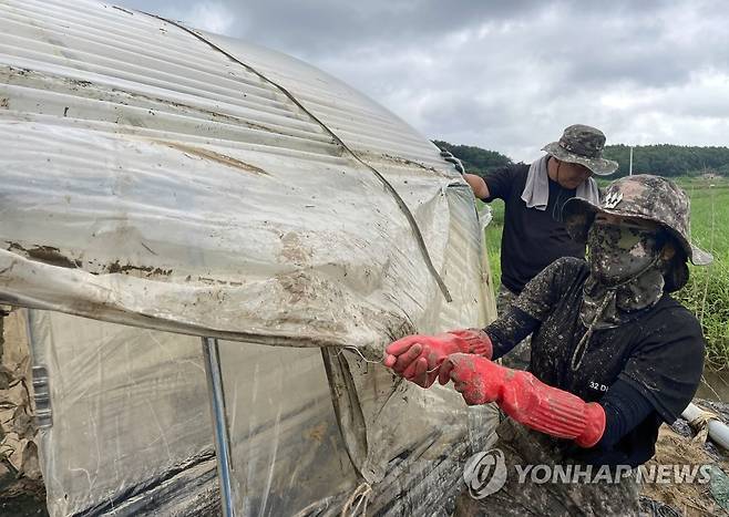 폭우로 훼손된 비닐하우스 손질 한창(기사 내용과 직접적인 관계없음) [연합뉴스 자료 사진]