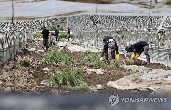 장병들의 수해 복구 지원 (청양=연합뉴스) 김준범 기자 = 25일 오후 폭우 피해를 본 충남 청양군 한 비닐하우스에서 군 장병들이 대민 지원에 나서고 있다. 2023.7.25 psykims@yna.co.kr