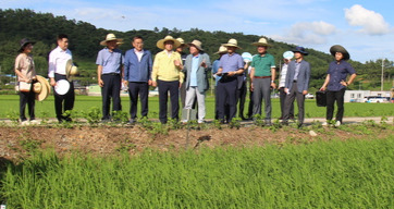 박홍재 전남도농업기술원장(왼쪽 네번째부터)와 문금주 전남도 행정부지사, 김식 ㈜G금강 회장 등이 나주 동강면의 벼 저탄소 재배기술 현장평가회에서 벼 시험포장을 살펴보고 있다.