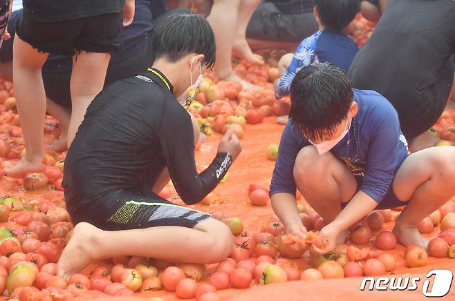 강원 화천토마토축제 황금반지를 찾아라 이벤트.(화천군 제공)