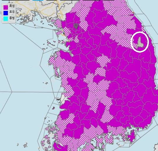 전국에 폭염예보가 내려진 가운데 태백만(사진 흰 원) 비켜갔다. 빗금은 폭염주의보, 전체가 칠해진 곳은 폭염경보가 발령돼 있다. 각각 체감온도가 33도, 35도 이상으로 예상될 경우에 해당한다.