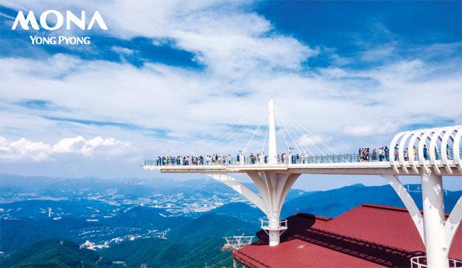 모나 용평의 대표 어트랙션인 발왕산 케이블카를 타고 오르는 발왕산 기 스카이워크. [모나 용평 제공]