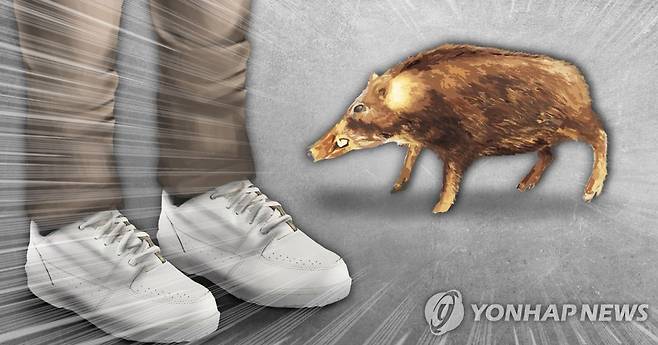 멧돼지 출몰(PG) [이태호 제작] 사진합성·일러스트