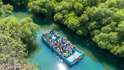 According to data from KKday, Sicao Green Tunnel is one of Tainan's famed attractions among international travelers.