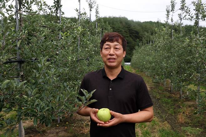 경북 김천에서 사과농사 짓는 김창중씨 (김천=연합뉴스) 김진방 기자