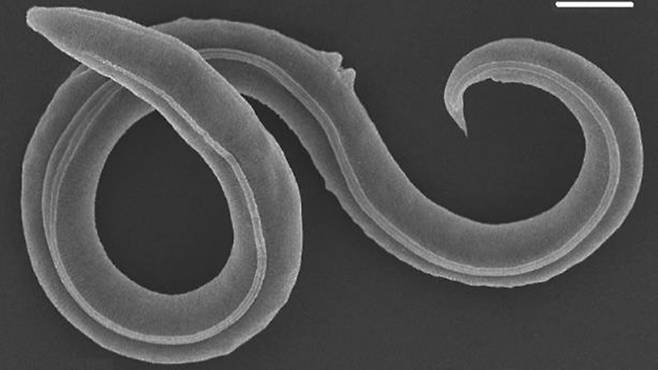 사진 출처=MAX-PLANCK-GESELLSCHAFT 홈페이지/연합뉴스