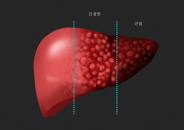 이미지투데이