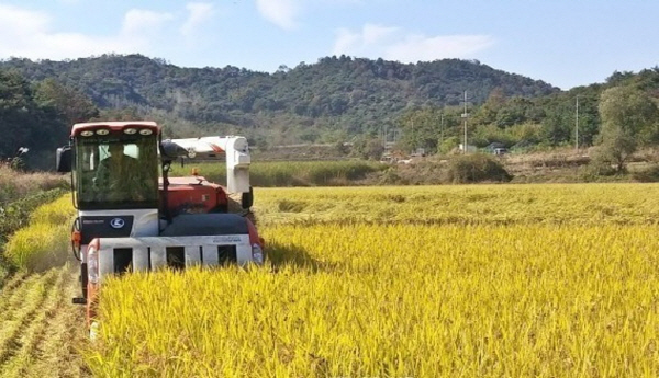 앞으로는 농지은행의 농지 매입 대상이 비농업인 소유 농지와 국·공유지까지 확대된다. 국제신문DB