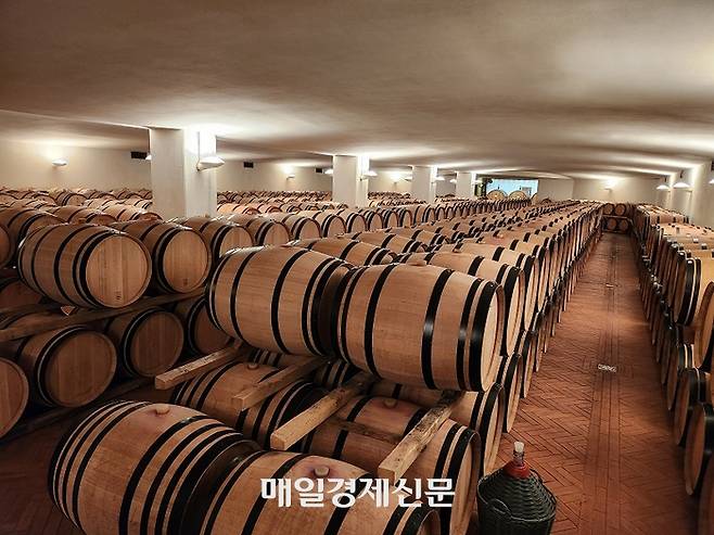 잘 관리된 이탈리아 키안티클라시코 지역 폰토디 와이너리의 지하 까브 모습. 보통 오크통을 1~3열로 쌓아올리고, 통 속에는 숙성중인 와인이 담겼다. 까브는 외부의 영향을 최소화한 채 일정한 온도와 습도를 유지한다.  <사진=전형민 기자>