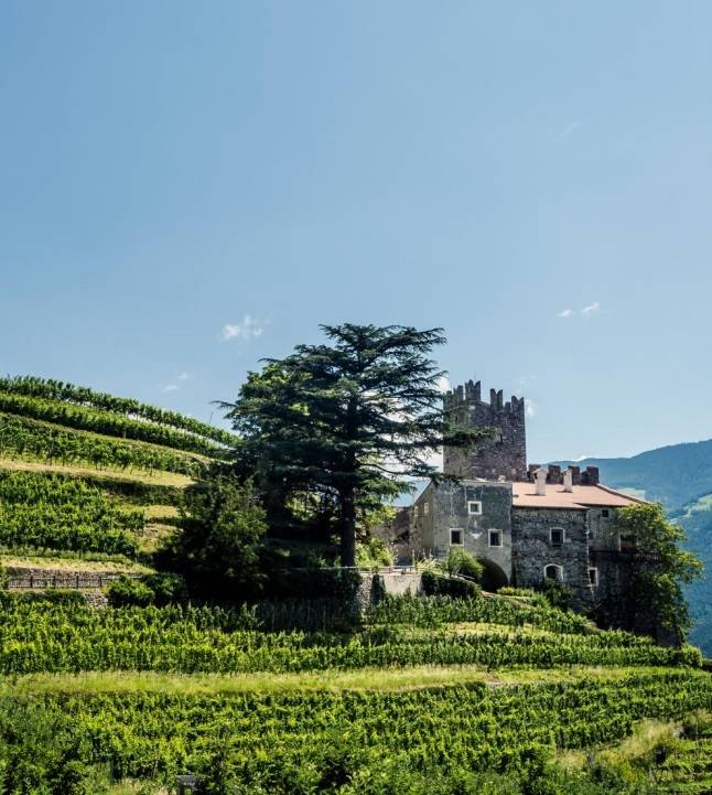 Val Venosta.&nbsp; &nbsp;&nbsp;알토아디제와인협회