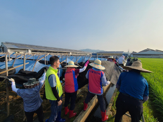 최재구 예산군수를 비롯한 예산군 직원 200여명과 농촌지도자예산군연합회, 한국생활개선예산군연합회, 품목농업인연구연합회, 예산군4-H본부, 예산군4-H연합회 5개 농업인학습단체와 농업기술센터 직원 등 예산군 각 사회단체 회원들이 2일 청양군 수해복구 지원에 구슬땀을 흘렸다.사진=예산군 제공