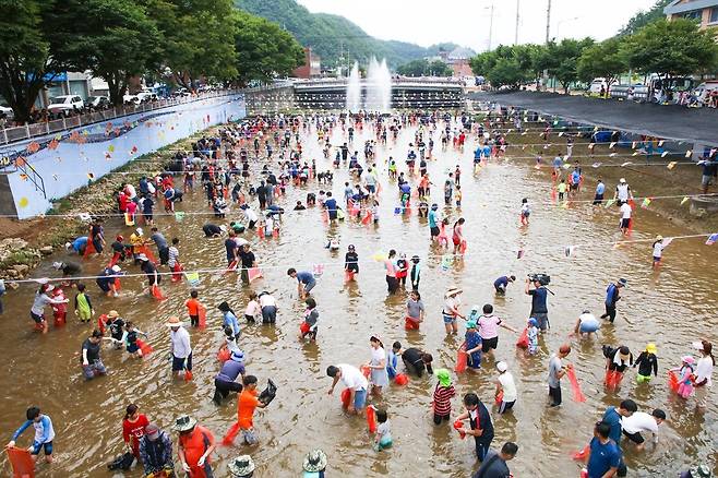 맨손 물고기 잡기 이벤트 단양군 제공. 재판매 및 DB 금지