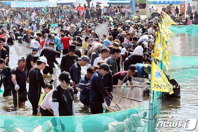 제16회 정남진장흥물축제의 핵심 프로그램인 '대왕민물장어를 잡아라'에 인파가 몰리고 있다. ⓒ News1