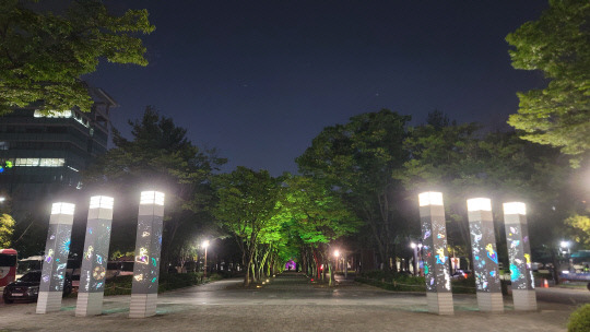 대전 서구 둔산동 보라매공원 가로수길. 사진=산림청