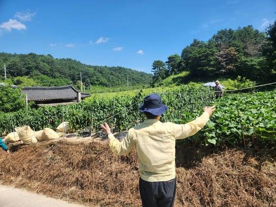 3일 경북 안동시 와룡면 주계리 한 밭에서 일하고 있는 노인을 발견한 경북도 폭염 순찰대가 노인에게 집으로 돌아가줄 것을 당부하고 있다. 김정석 기자