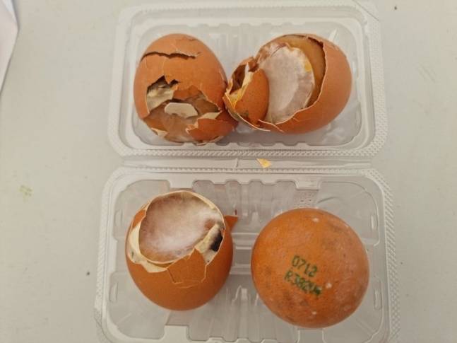 새만금 잼버리 조직위가 참가자들에게 지급한 곰팡이 핀 구운 달걀. 뉴스1(제보자 제공)