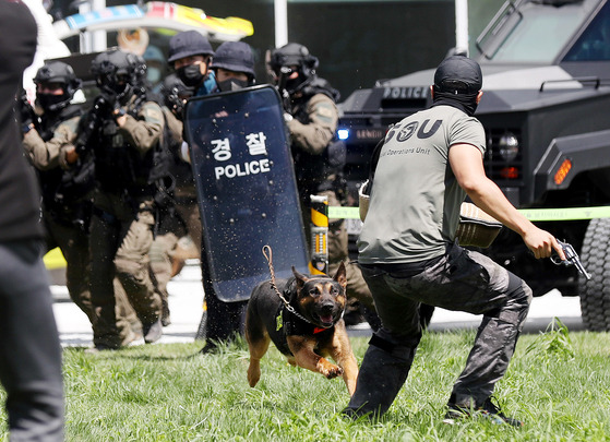 경찰특공대 훈련 자료사진. 〈사진=연합뉴스〉