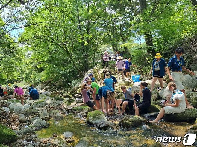 세계스카우트잼버리 사찰 체험 참여 활동 사진