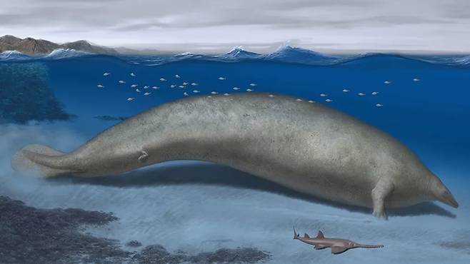 해안 서식지에 있는 고대 고래 '페루세투스 콜로서스' 상상도. 사진=Alberto Gennari