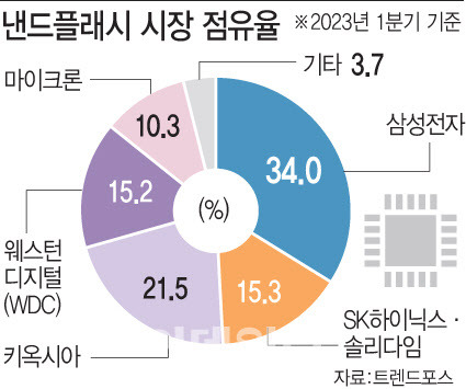 (그래픽=문승용 기자)