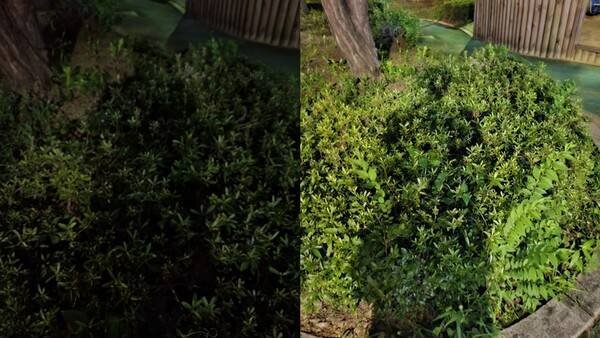 같은 위치에서 갤럭시 Z 플립3(왼쪽), 플립5(오른쪽) 야간모드 촬영을 했을 때 차이. (사진=윤아름 기자)