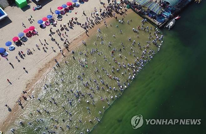 속초 장사항 오징어 맨손잡기 축제(2018년) [연합뉴스 자료사진]