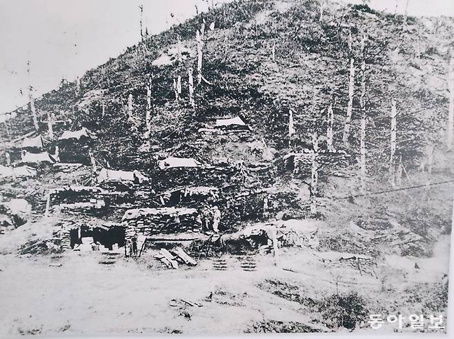 피의 능선이 전투 후 나무마져 앙상하게 남아있다.  전쟁기념관 전시.