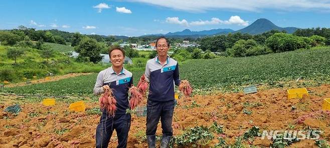 수확 장면