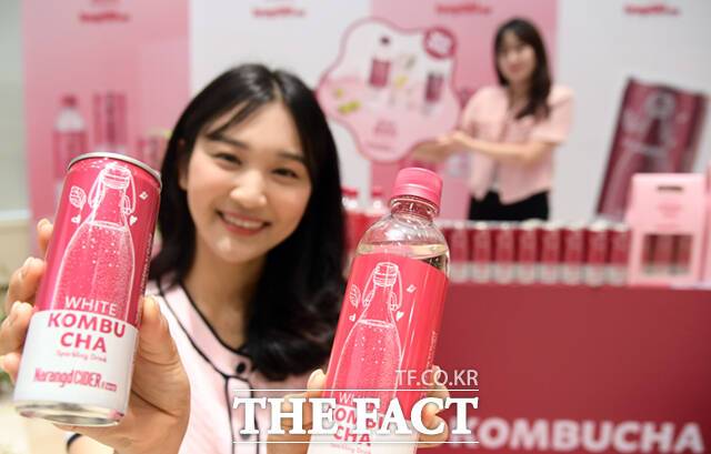 동아오츠카(대표이사 사장 조익성) 나랑드사이다 신규 플레이버 '화이트콤부차' 출시 기념 행사가 10일 오전 서울 동대문구 동아오츠카 서울사무소에서 열린 가운데, 모델들이 제품을 소개하고 있다. /이새롬 기자