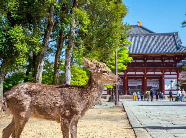 온라인 커뮤티니