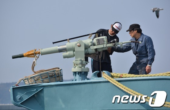 일본 미야기현 아유카와항에서 출항 전 포경장비를 점검하고 있는 어부들의 모습.ⓒ AFP=뉴스1