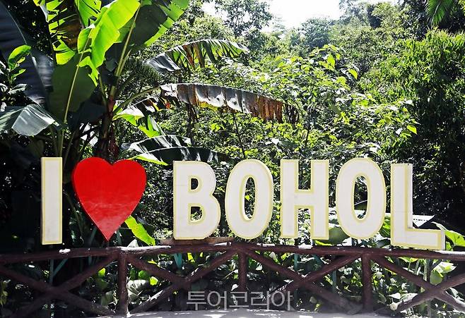 필리핀 보홀 타르시어 원숭이 보호구역 (사진. 김관수)