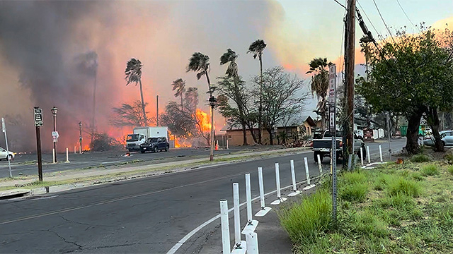 ▲ 지난 8일(현지시각) 하와이 마우이 섬에 화재가 발생했다. 이후 사흘이 지난 11일 현재까지 53명의 사망자가 발생했다. ⓒ로이터=연합뉴스