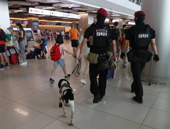연이은 공항 테러 예고에 삼엄해진 경비 - 7일 오전 서울 강서구 김포국제공항 국내선 출국장에서 경찰특공대 대원들이 폭발물 탐지견과 함께 순찰을 돌고 있다. 경찰에 따르면 전날 오후에는 제주공항 폭탄테러 예고 글이 인터넷 사이트에 게시됐고, 이날 오전에는 김해공항과 관련된 테러 예고 글이 인터넷 커뮤니티에 올라왔다. 경찰은 테러를 의심할 만한 정황은 없었다며 허위 게시물에 대해서 엄중 처벌할 계획이라고 밝혔다. 2023.8.7. 연합뉴스