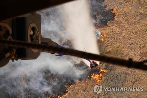 하와이 육군 방위군 CH47 치누크가 마우이섬 상공에서 물을 뿌리는 모습  [미 국방부/AFP=연합뉴스. 재판매 및 DB 금지]