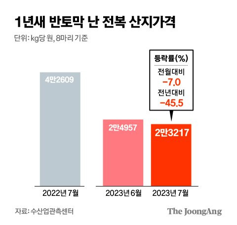 김경진 기자