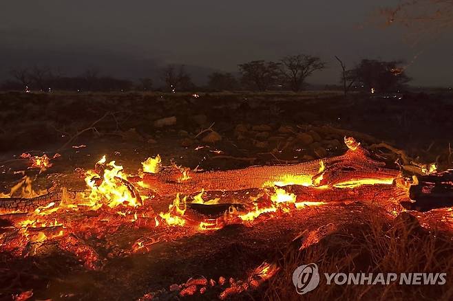 美 하와이 마우이섬에서 타오르는 산불 (키헤이[美 하와이주] AP=연합뉴스) 9일(현지시간) 미국 하와이주 마우이 카운티 키헤이에서 산불이 타오르고 있다. 허리케인 '도라'의 영향으로 산불이 빠르게 확산 중인 가운데, 마우이 카운티는 이번 화재로 최소 53명이 사망했다고 10일 밝혔다. 2023.08.11 ddy04002@yna.co.kr