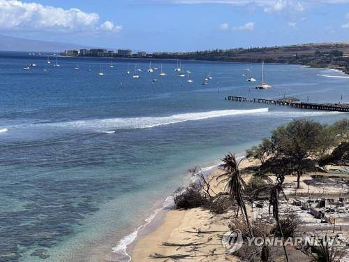 [하와이 토지·자연자원부(HAWAII DEPARTMENT OF LAND AND NATURAL RESOURCES)/EPA=연합뉴스. 재판매 및 DB 금지]