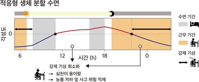 삼성서울병원과 KAIST 연구진이 주야간 교대근무로 망가진 생체리듬을 효과적으로 관리할 수 있을 것으로 확인한 '적응형 생체 분할 수면법' 의개념도. 연속된 두 야간근무(주황색 영역)시 일주기 리듬에 맞춰 잠을 나눠 자는 방식이 가장 효과적으로 근무 효율성과 각성도를 개선했다. [자료=삼성서울병원]